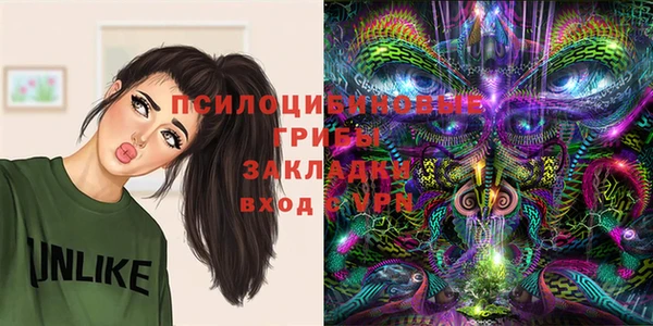 ГАЛЛЮЦИНОГЕННЫЕ ГРИБЫ Горно-Алтайск