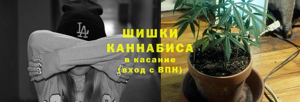 ГАЛЛЮЦИНОГЕННЫЕ ГРИБЫ Горно-Алтайск