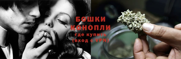 ГАЛЛЮЦИНОГЕННЫЕ ГРИБЫ Горно-Алтайск