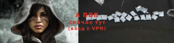 ГАЛЛЮЦИНОГЕННЫЕ ГРИБЫ Горно-Алтайск