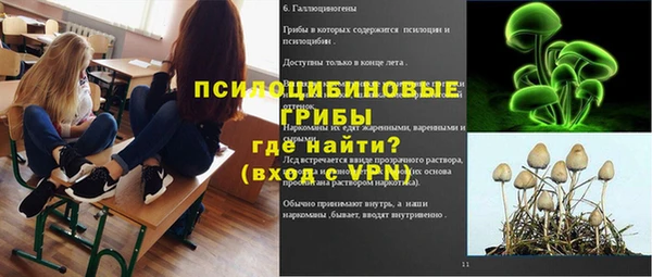MDMA Горнозаводск