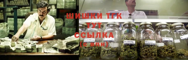 ГАЛЛЮЦИНОГЕННЫЕ ГРИБЫ Горно-Алтайск