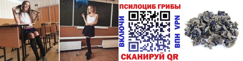 KRAKEN сайт  Брюховецкая  Галлюциногенные грибы MAGIC MUSHROOMS 